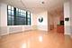 807 Church Unit 313, Evanston, IL 60201