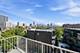 1552 N North Park Unit 704, Chicago, IL 60610