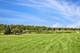 1169 Amber, Cary, IL 60013