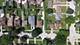 8336 Mango, Morton Grove, IL 60053