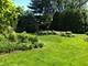 647 N Wilke, Arlington Heights, IL 60005