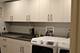 8425 W Castle Island, Chicago, IL 60656