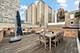 652 W Sheridan, Chicago, IL 60613
