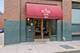 621 S Plymouth Unit 511, Chicago, IL 60605