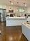 8816 Kenton, Skokie, IL 60076