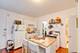 3241 S Carpenter, Chicago, IL 60608