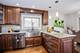 431 N Northwest Unit B, Park Ridge, IL 60068