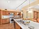 1121 S Aldine, Park Ridge, IL 60068