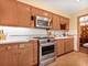 1121 S Aldine, Park Ridge, IL 60068
