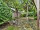 1121 S Aldine, Park Ridge, IL 60068