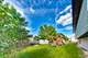 907 Joanne, Minooka, IL 60447