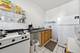 955 E 61st Unit 1, Chicago, IL 60637