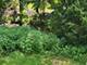 21317 W Shady, Lake Zurich, IL 60047