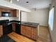 1017 E 46th Unit 2S, Chicago, IL 60653
