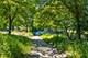 3126 W Carmen Unit 3, Chicago, IL 60625