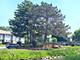 870 E Old Willow Unit 259, Prospect Heights, IL 60070