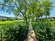 870 E Old Willow Unit 259, Prospect Heights, IL 60070