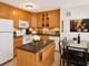 155 N Harbor Unit 3306, Chicago, IL 60601
