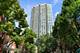 501 N Clinton Unit 1304, Chicago, IL 60654
