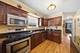 3262 N Elston, Chicago, IL 60618