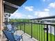 303 Front Unit 1302, Lemont, IL 60439