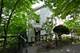 2638 W Medill, Chicago, IL 60647