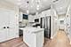1433 S Trumbull, Chicago, IL 60623