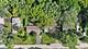 3884 Woodlawn, Gurnee, IL 60031