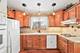 1058 Seymour, Des Plaines, IL 60016