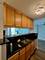 1043 S York Unit 610, Bensenville, IL 60106