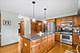 23741 W Deer Chase, Naperville, IL 60564