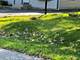 21341 W Sarah, Lake Villa, IL 60046