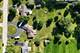 1003 Northern, Lockport, IL 60441