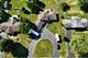 1003 Northern, Lockport, IL 60441