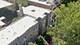 549 W Surf Unit 2, Chicago, IL 60657
