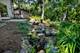 234 Jervey, Bartlett, IL 60103