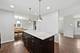 389 Michael John, Park Ridge, IL 60068