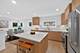 263 Barberry, Highland Park, IL 60035
