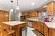 10241 Royal, Mokena, IL 60448