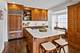 1339 Forest, River Forest, IL 60305