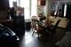 2518 W 59th, Chicago, IL 60629