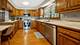 11001 S Ridgeway, Chicago, IL 60655