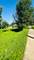 290 Woodbridge, Des Plaines, IL 60016