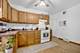 5037 W Winona, Chicago, IL 60630