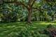 26 E 157th, South Holland, IL 60473