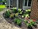 1305 Dancer, Libertyville, IL 60048