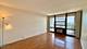 3001 S Michigan Unit 1303, Chicago, IL 60616