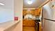 3001 S Michigan Unit 1303, Chicago, IL 60616