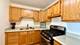 3001 S Michigan Unit 1303, Chicago, IL 60616