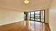 3001 S Michigan Unit 1303, Chicago, IL 60616